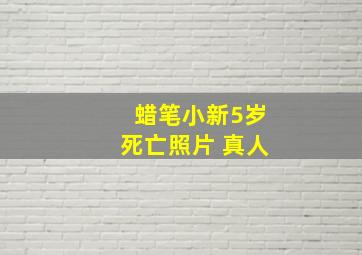 蜡笔小新5岁死亡照片 真人